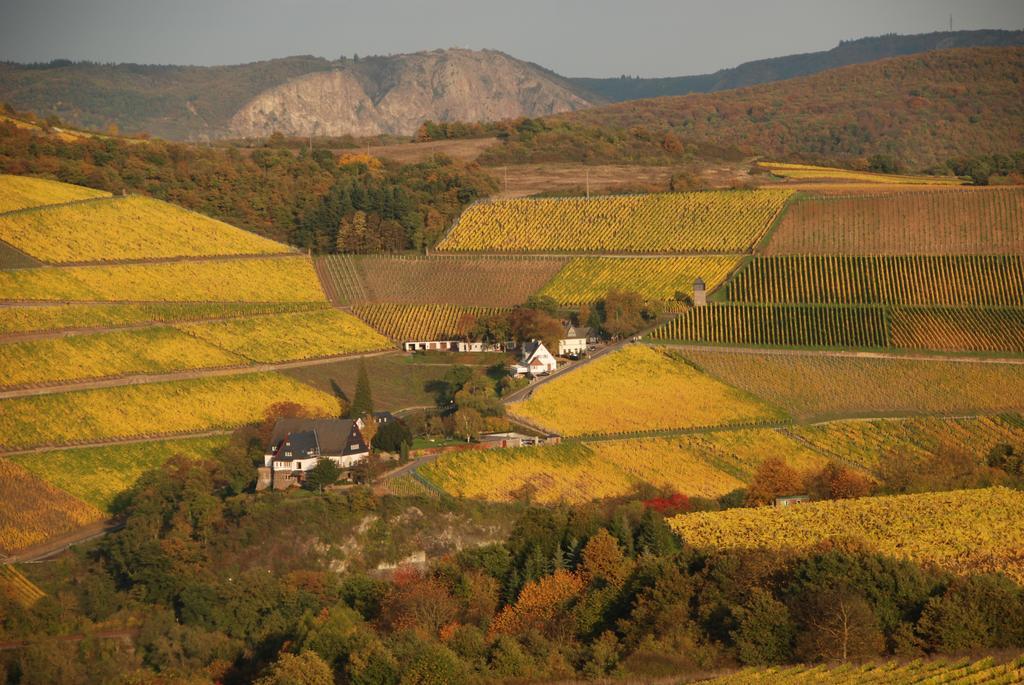 Gut Hermannsberg, Gaestehaus Niederhausen Zewnętrze zdjęcie