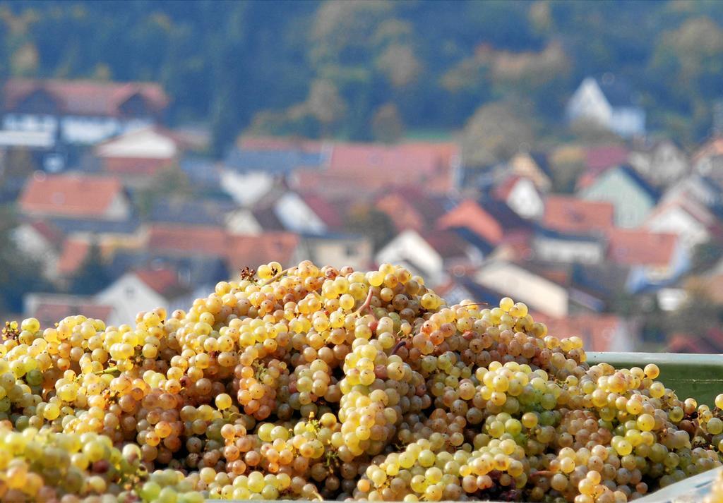 Gut Hermannsberg, Gaestehaus Niederhausen Zewnętrze zdjęcie